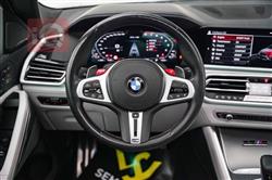 بي ام دبليو X6